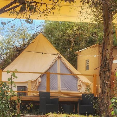 Glamping Dunas Del Sol 圣佩德罗·德·阿塔卡马 外观 照片