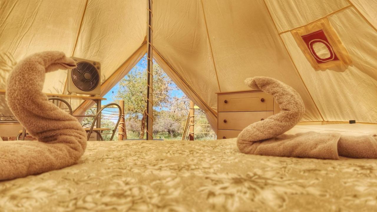 Glamping Dunas Del Sol 圣佩德罗·德·阿塔卡马 外观 照片